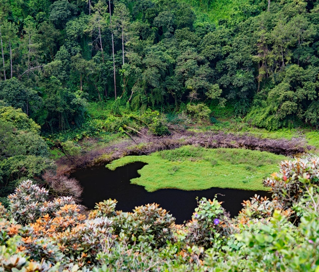 Le cratère de Trou aux Cerfs