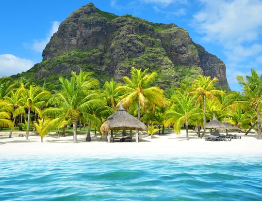 L’été austral dynamique