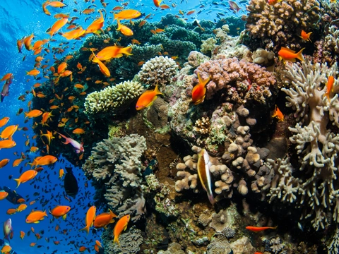 Sanctuaires naturels et sentiers de randonnée écotouristiques
